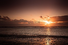 海,海洋,水