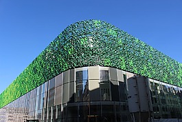 建設,架構,正面