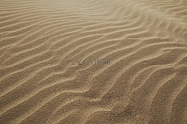 沙,海灘,波