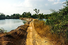 湖,步行,景觀