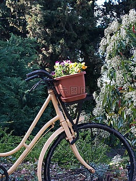 自行車(chē),鮮花,景區(qū)