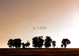 景觀,自然,陽(yáng)光