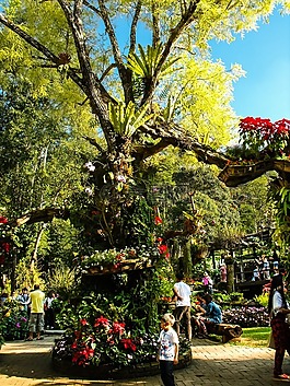 公园,blumenlanschaft,鲜花