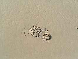 足跡,沙,海灘