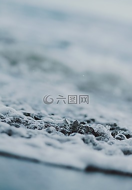 海,海洋,水