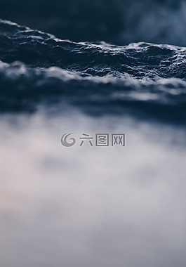 海,海洋,水