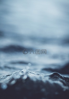 海,海洋,水