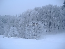 冬天,雪,白