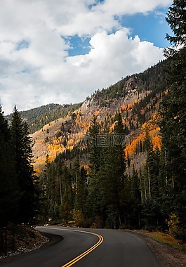 山,高原,樹