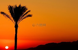埃及,上升,太陽(yáng)