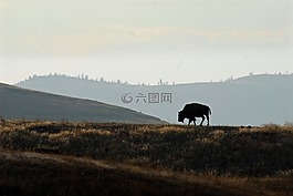 景观,户外,水平面