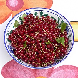 葡萄干,水果,紅色