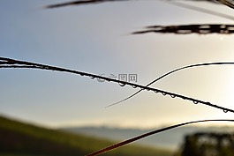 一滴水,背光,心情