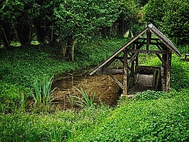 法國,溪,河