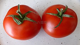 蕃茄,紅色,食品