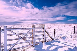 英格蘭,景觀,雪