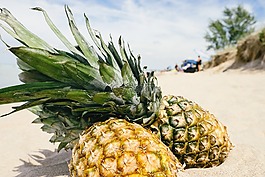 菠蘿,沙,海灘