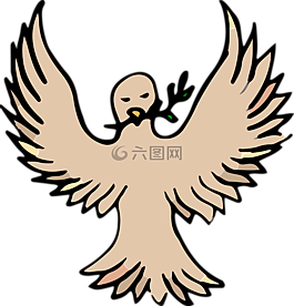 鴿子,鳥,動(dòng)物