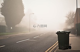 路,街,樹