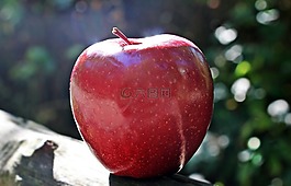 蘋果,紅蘋果,紅主任
