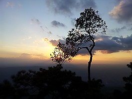 日落,泰國,自然
