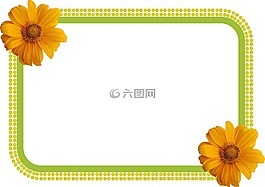 向日葵,照片點(diǎn),幀
