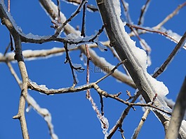 冬天,雪,冰