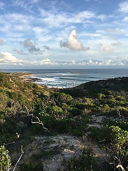 海,希望,海洋