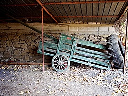 農(nóng)村,小麥,捷克共和國的車