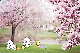 野兔,貓,雞