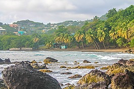 巖,海岸,綠色