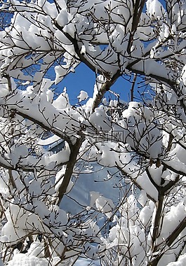 冬天,雪,天空