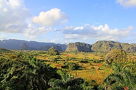 古巴,景觀,比尼亞萊斯山谷