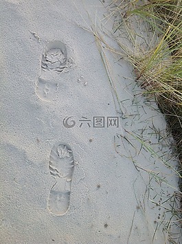 腳印,沙,足跡