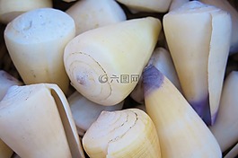 外殼,海洋,海