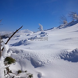冬季,krkonoše 大山,雪