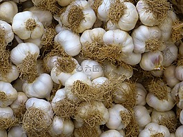 大蒜,白,食品