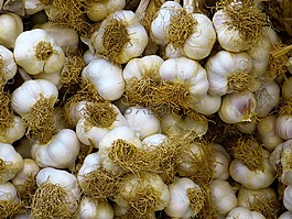 大蒜,白,食品