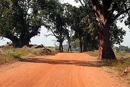 路徑,跟蹤,路