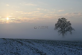 冬天,霧,雪