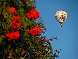 氣球,熱空氣,飛
