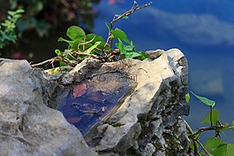 黔靈山公園,風景,水