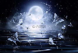 蝴蝶,星星,夜