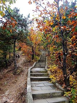 中國,樓梯,秋季