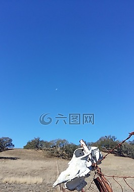加利福尼亞州,頭骨,景觀