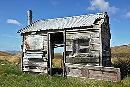 綠色,草,小屋
