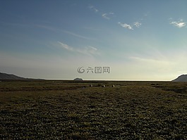 冰島,性質(zhì),寬