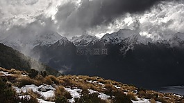 冬天,雪,草