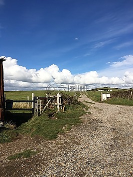 沿海路徑,chickerell,無角陶賽特