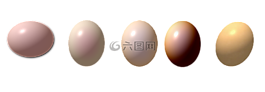鸡蛋,绘图,鸡蛋的画